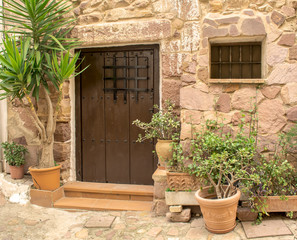 Fototapeta na wymiar Wooden door in an old Spanish house