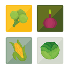 Vegetables icon design 