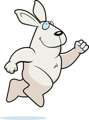 Rabbit Jumping