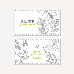 Business card templates set with hand drawn spicy herbs