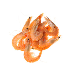 Fresh or cooked shrimps isolated white background