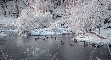 fantastic winter landscape