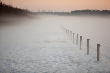 a winter scenery during sunset where a snow covered farm field with trees in the background are surrounded by mist under a golden sky. A fence is disappearing into the dense fog.