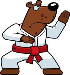 Obraz premium Karate Bear