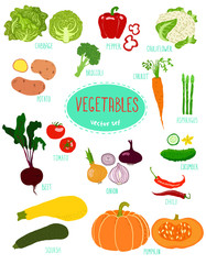 Different type of vegetables set - illustration.