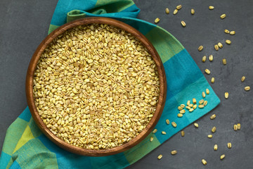 Trigo Mote husked wheat grain, commonly used in the South American cuisine, photographed overhead on slate with natural light (Selective Focus, Focus on the grains in the bowl)