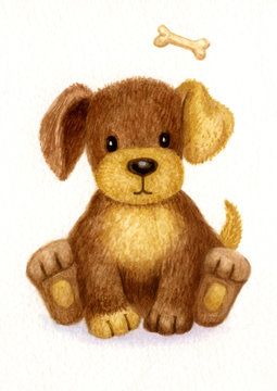 Cute puppy, watercolor.