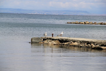 Views of Sozopol, year 1014