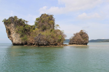 Obraz premium Sea nature, year 2015