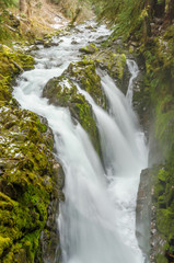 Beautiful Mountain River at the Olympics Park. WA, USA.