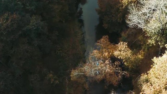 Man kayaking on the forest river. HD aerial shot. GoPro edited footage, slow motion 50 FPS.