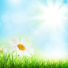 Abstract sunny spring background