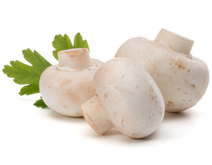 Champignon and parsley herb still life isolated on white backgro