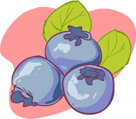 Blueberry, leaves and berries isolated on white background. Real