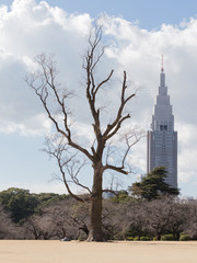Unusual landscapes Tokyo