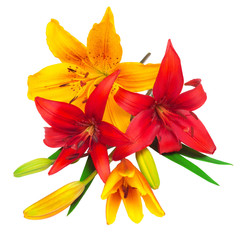 Bouquet of Lilies red and yellow flowers