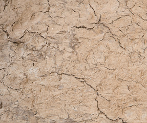 Cracked ground texture background