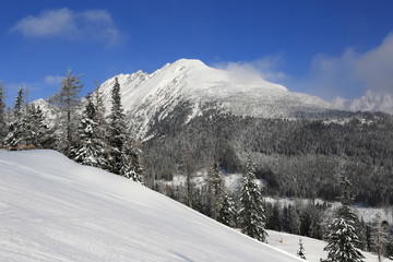 Fototapeta na wymiar Winter scene in mountains