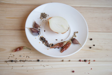 Onion and condiments on a white ceramic plate