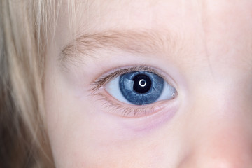 Fototapeta premium baby blue eyes