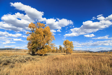 Obraz premium Beautiful autumn day