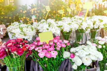 beautiful colorful flowers in flower shop