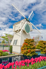 Garden of tulips with windmill and beautiful pond at Skagit, Washington State, America. © karamysh