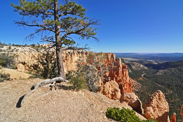 Fototapeta na wymiar Bryce Canyon National Park, USA