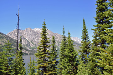 Grand Teton National Park, Wyoming, USA