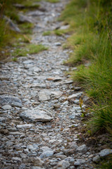 Path in the mountains