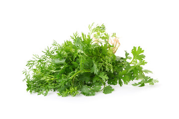 Bunch of fresh coriander leaves over white background