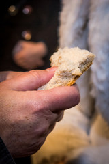 Piece of bread held in the hand while sharing bread