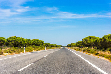 asphalt road. Highway traffic.