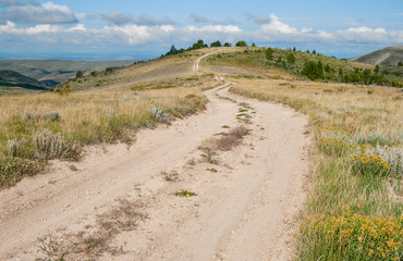 Dirt Road in Wyoming:  A truck trail leads into the hills of southwest Wyoming.
 - Powered by Adobe