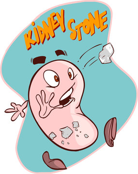 Kidney Stone Cartoon Images – Browse 705 Stock Photos, Vectors, and Video |  Adobe Stock