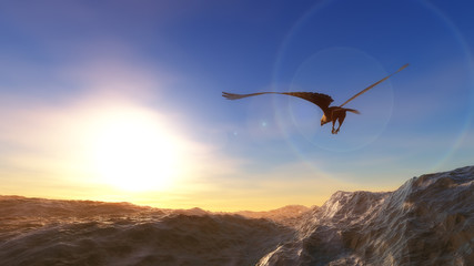 eagle flying over the sea at low altitude