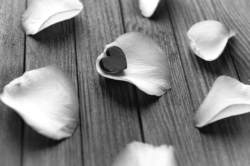 Close-up image of rose petals on a wooden background.