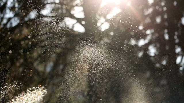 Work sprinkler in a park close-up. Small drops of water. Watering. irrigation system. Background.