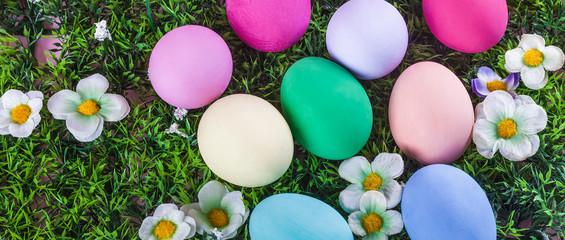Colorful Easter painted eggs in the grass letterbox