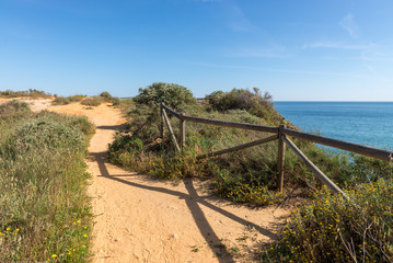 Fototapeta na wymiar Rock and Dona Ana beach in Portimao, Algarve, Portugal