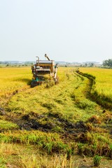 Fototapeta premium harvester car in rice field Thailand