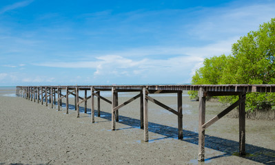 Fototapeta na wymiar Wooden bridge into sea with blue sky background.