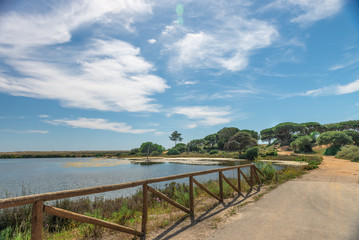 Fototapeta na wymiar Quinta do Lago landscape, in Algarve, Portugal