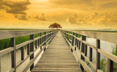 Wooden bridge in synset time at Sam Roi Yot National Park,Thailand