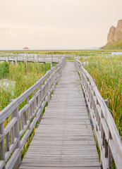 Obraz premium Wooden bridge in synset time at Sam Roi Yot National Park,Thailand