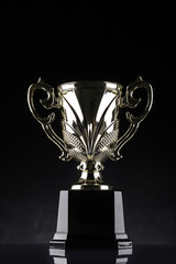 winning trophy championship award