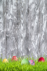 Easter Background with Eggs and Flowers