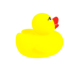 yellow rubber duck toy isolated on white background, clipping pa