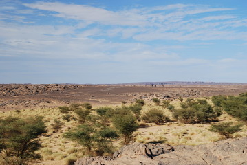 Wide Desert