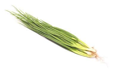 fresh green onion